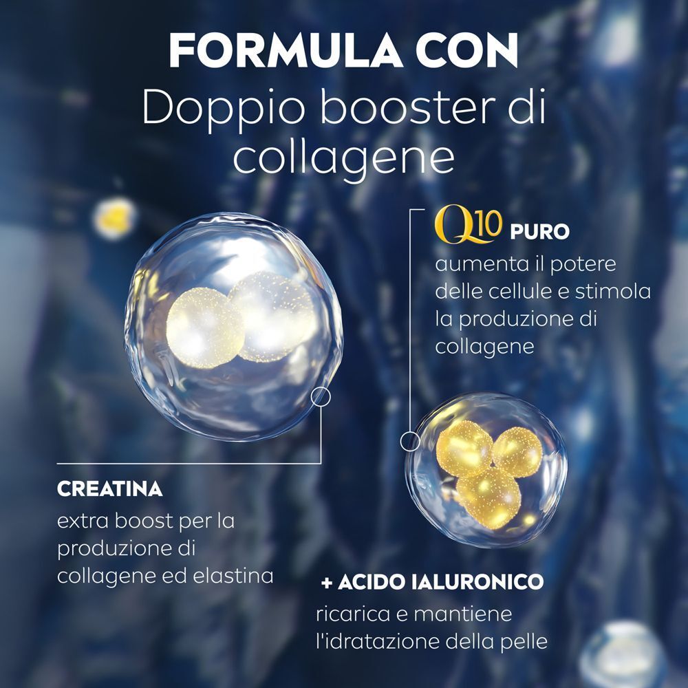 Illustrazione della produzione cellulare di collagene ed elastina da Q10, creatina e acido ialuronico.