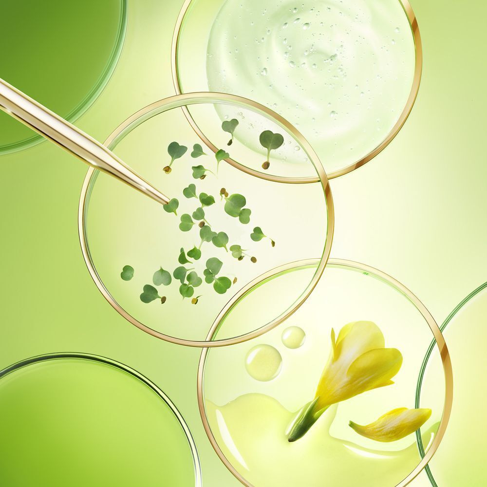 Petri con estratti vegetali e un fiore giallo, Nuxe Nuxuriance Ultra.