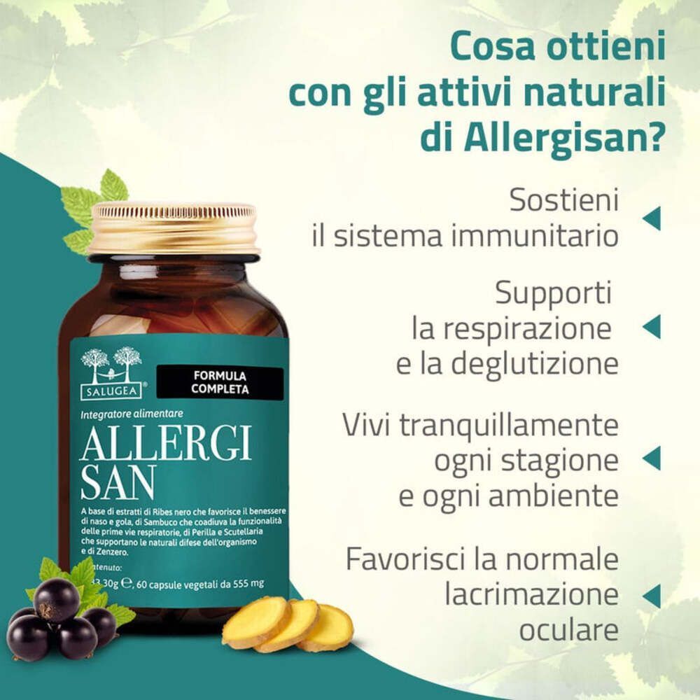 Una bottiglia di capsule Allergisan Salugea accanto a bacche e fette di zenzero, con testo sui benefici naturali.