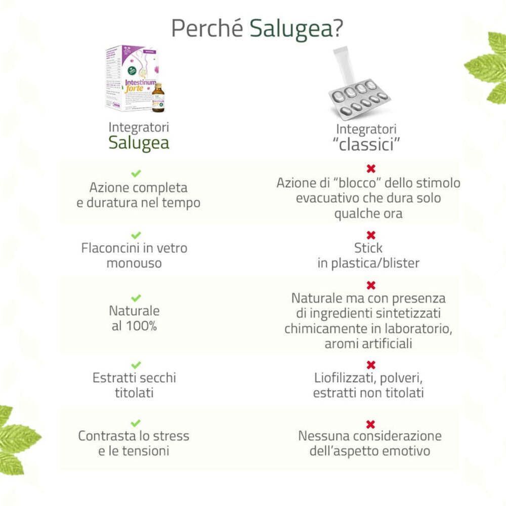 Confronto tra Intestinum Forte (Salugea) e integratori 'classici'.
