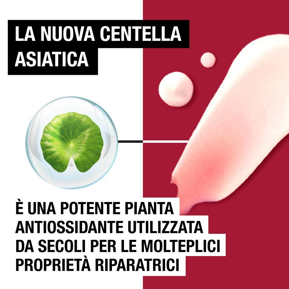 Foglia di Centella Asiatica in una bolla. Testo sulla pianta come potente antiossidante.
