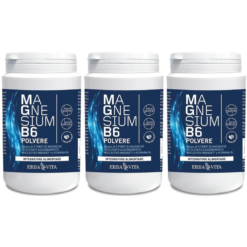Magnesium B6 Polvere 200 G