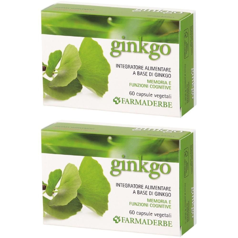 Ginkgo Biloba 60 Capsule