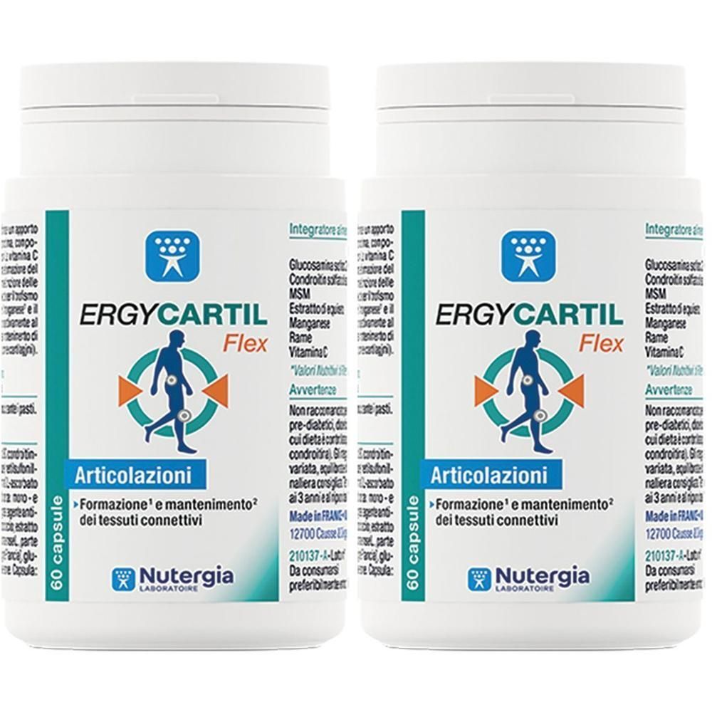 Ergycartil Flex 90 Capsule