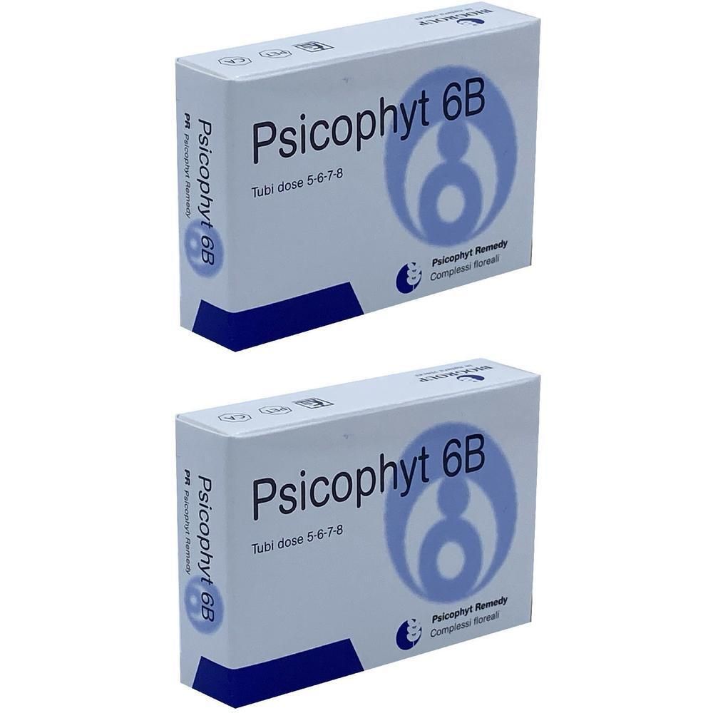Due scatole di Psicophyt 6B con indicazione dose tubi.