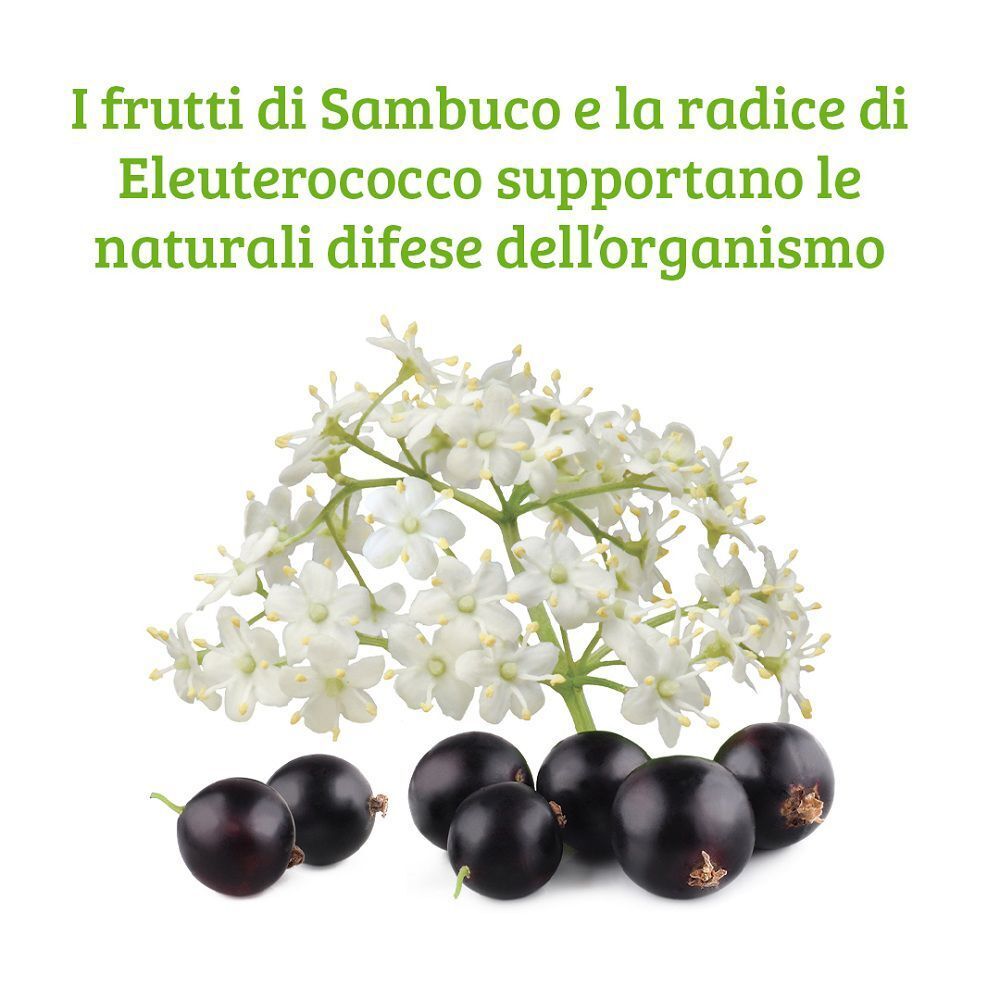 Colours Of Life Sambuco Formula Compresse