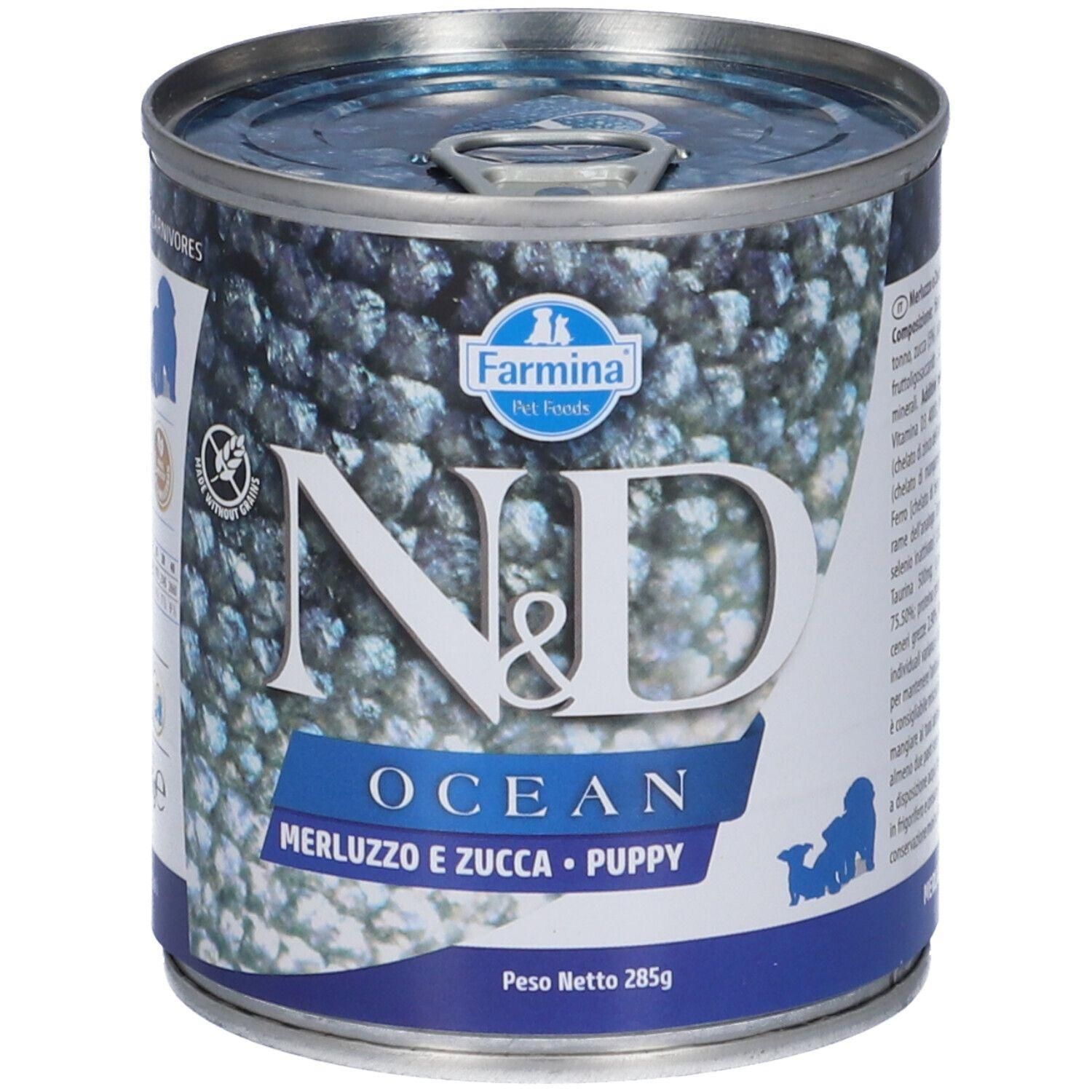 N&D Dog Ocean Codfish & Pumpkin Puppy 285 G