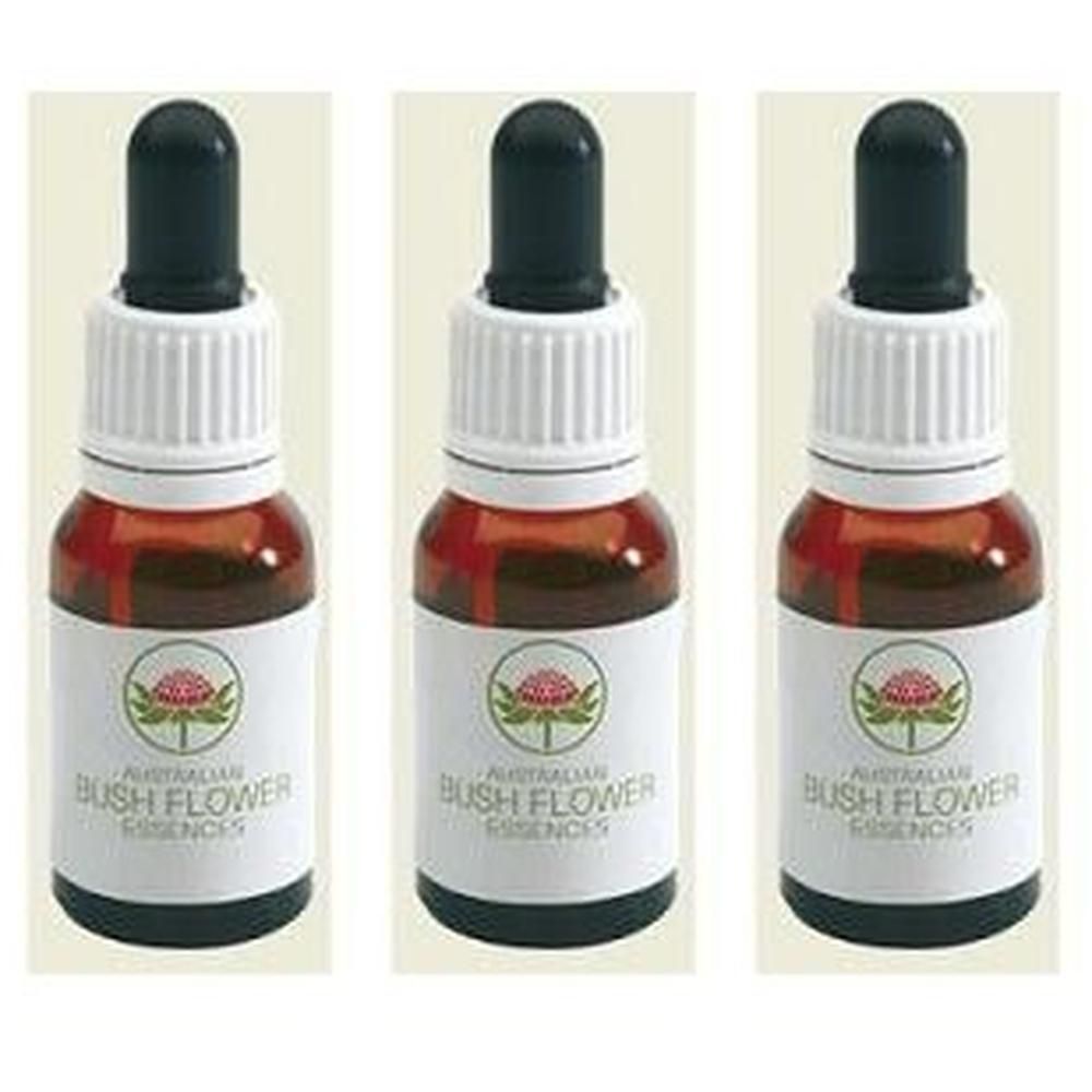 Spinifex Australian 15 Ml Gocce