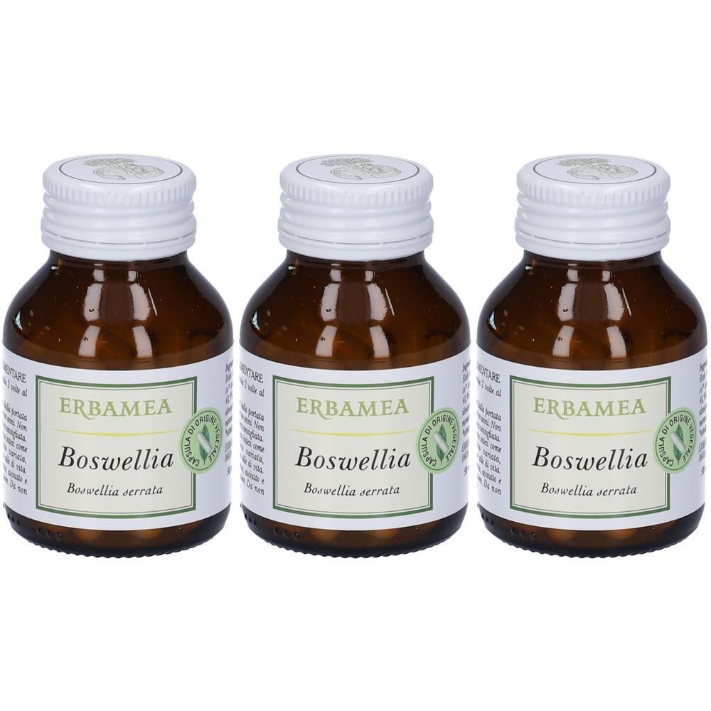 Boswellia Opercoli