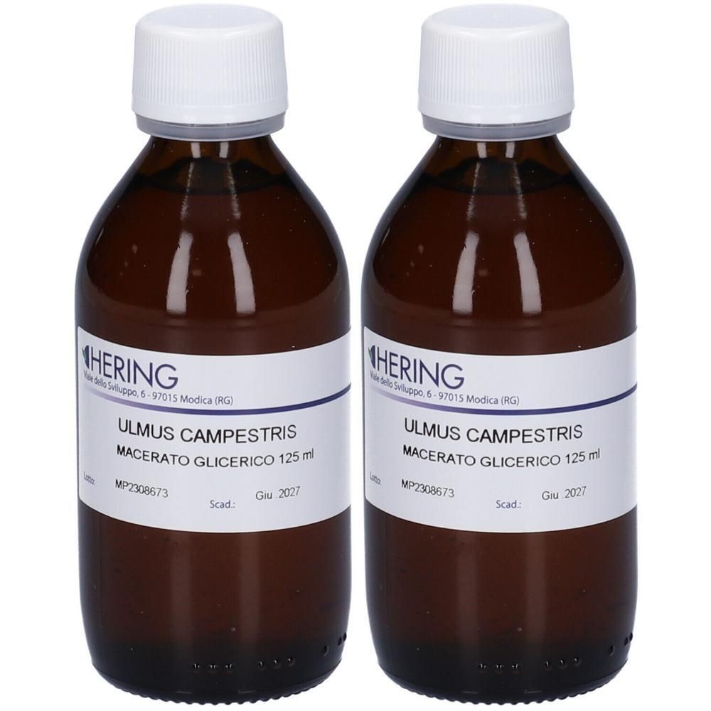 HERING Ulmus Camp Macerato Glicerico Gemme