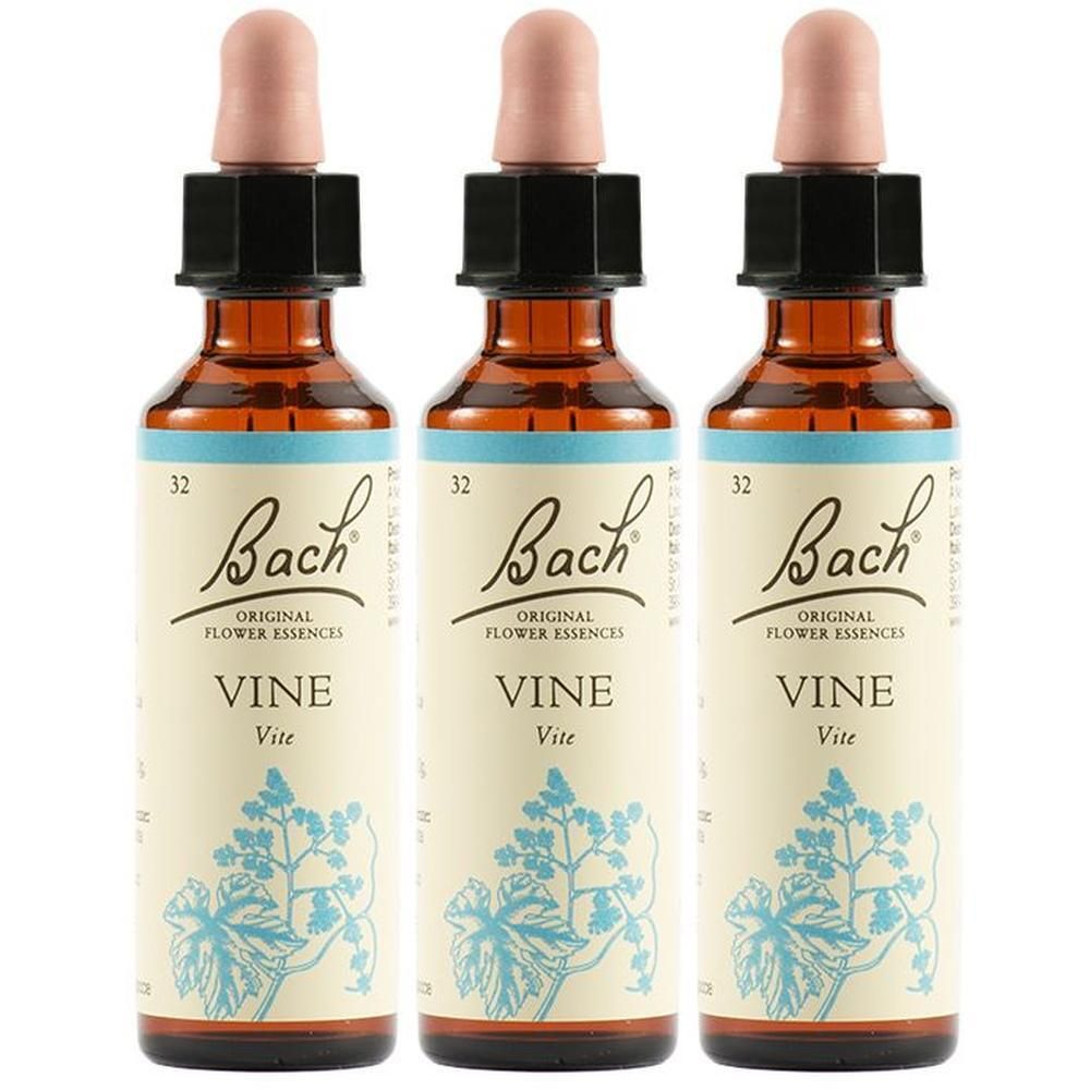 Vine Bach Orig