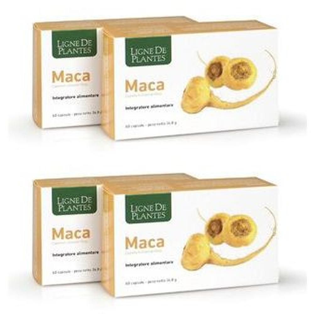 Maca 60 Capsule