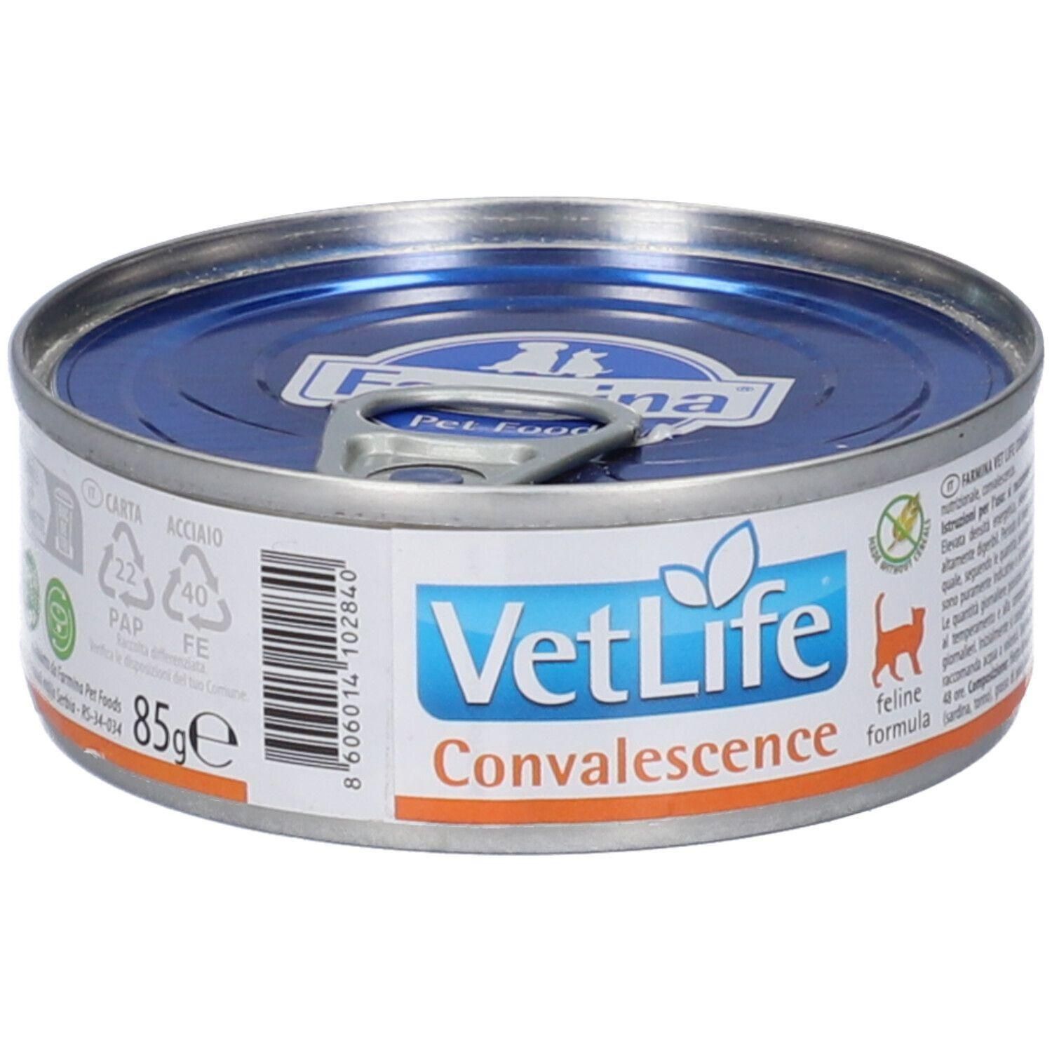 Farmina® VetLife Convalescence Wet Food Feline
