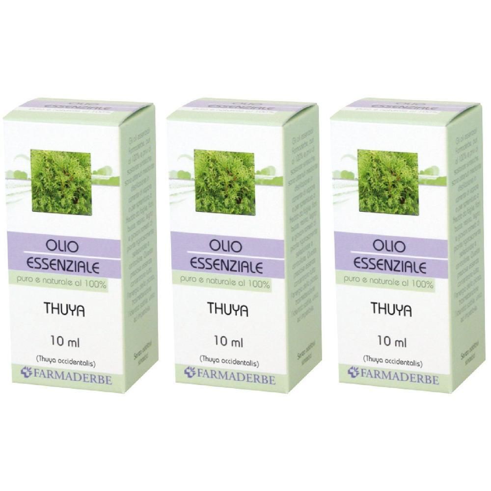 Thuya Olio Essenziale
