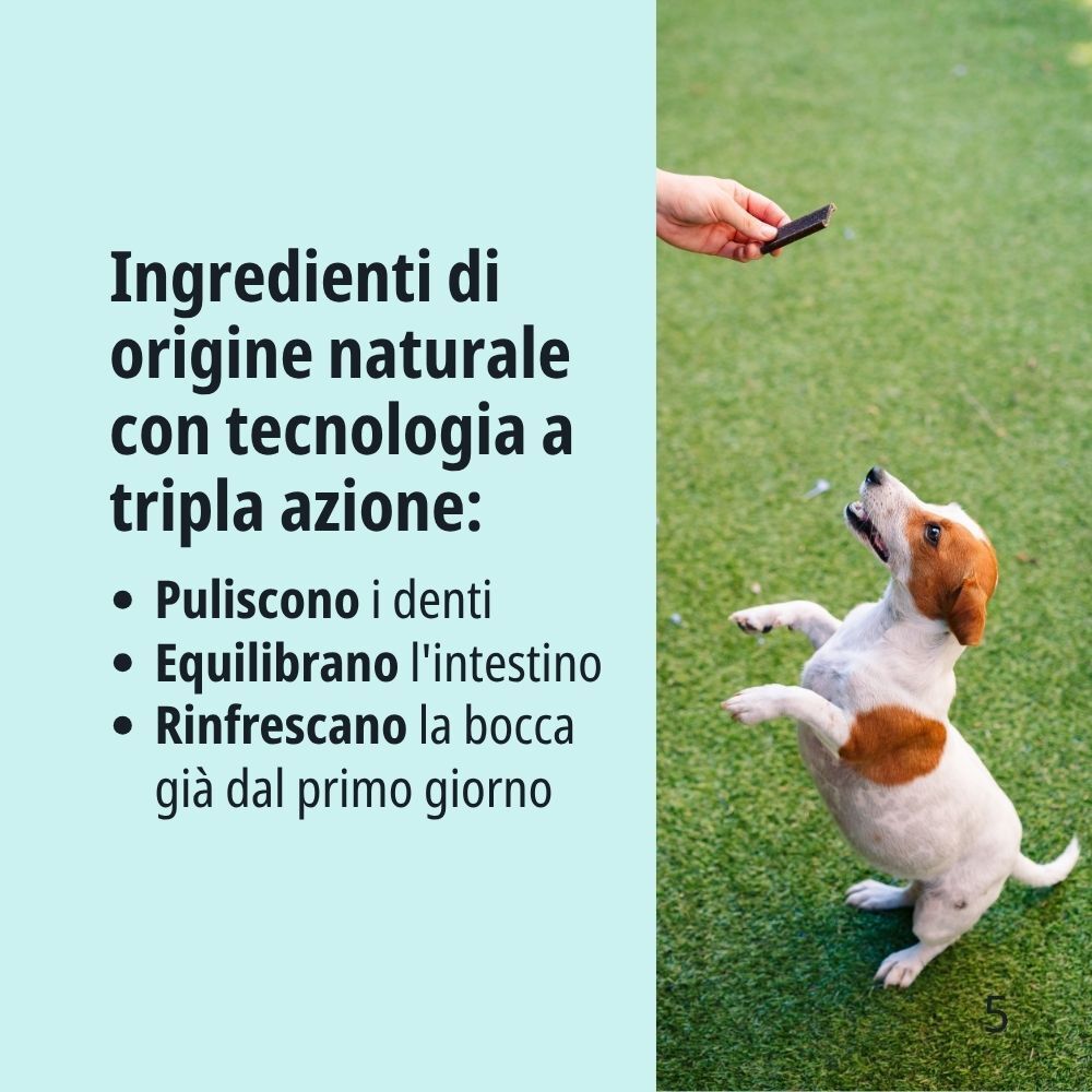 Cibo umido SOLO Maiale 100% per cani e gatti, monoproteico.