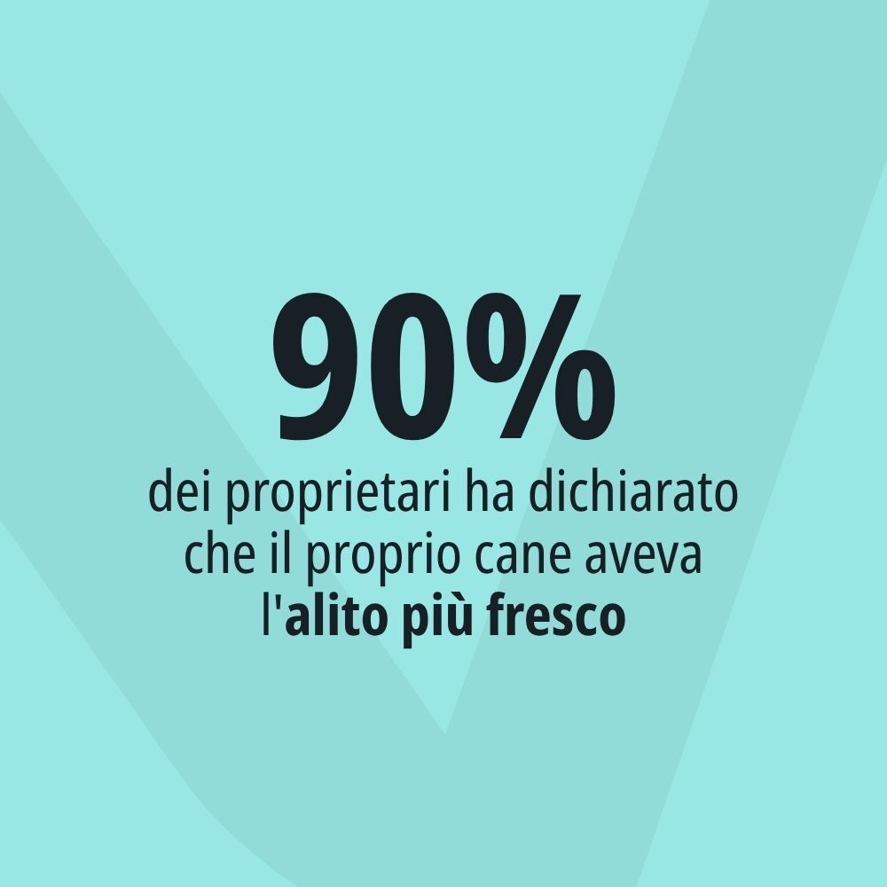 Sfondo con testo "Il 90% dei proprietari ha dichiarato che il proprio cane aveva l'alito più fresco".