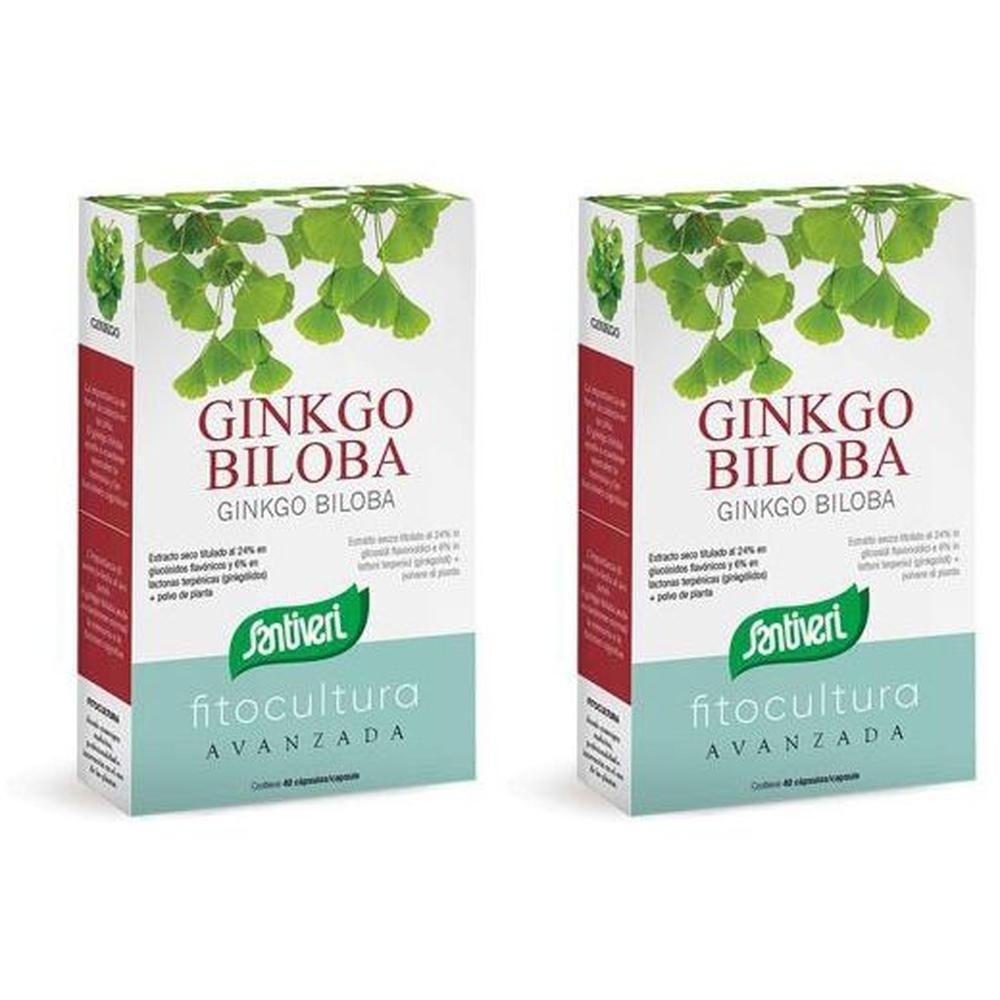 Ginkgo Biloba 40 Capsule