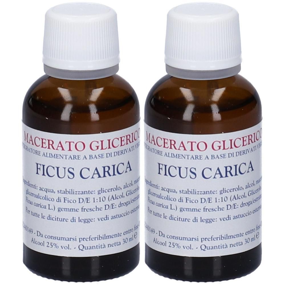 Ficus Carica Gemme Macerato Glicerico