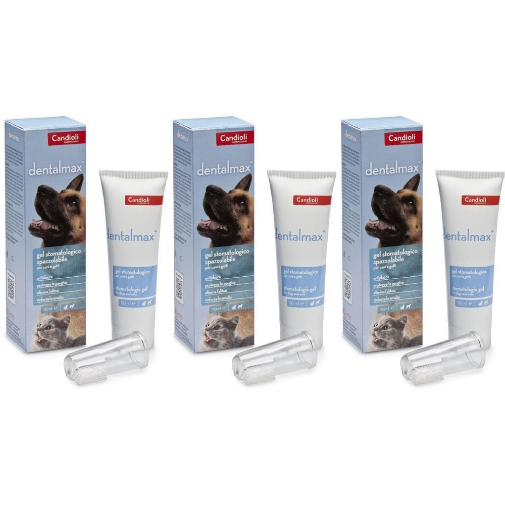 Dentalmax Gel Stomatologico 50 Ml