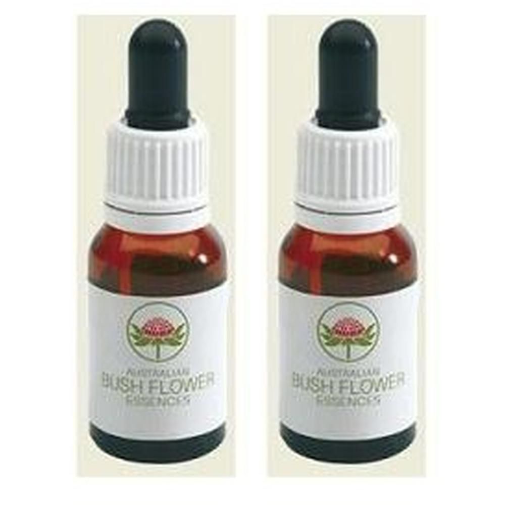 Macrocarpa Australian Bush 15 Ml