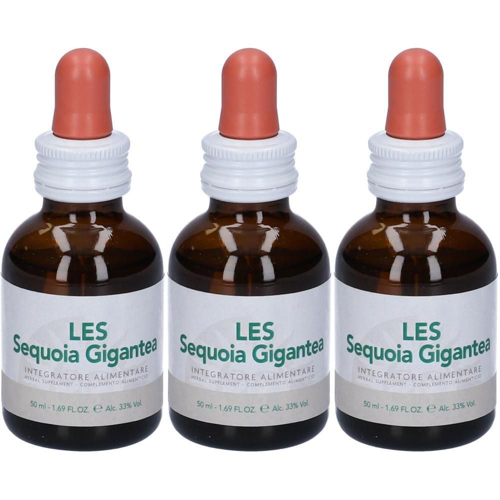 Les Sequoia Gigantea Gocce