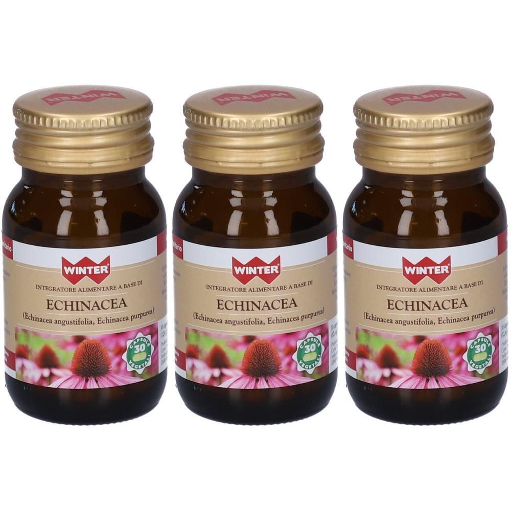 Winter Echinacea Capsule