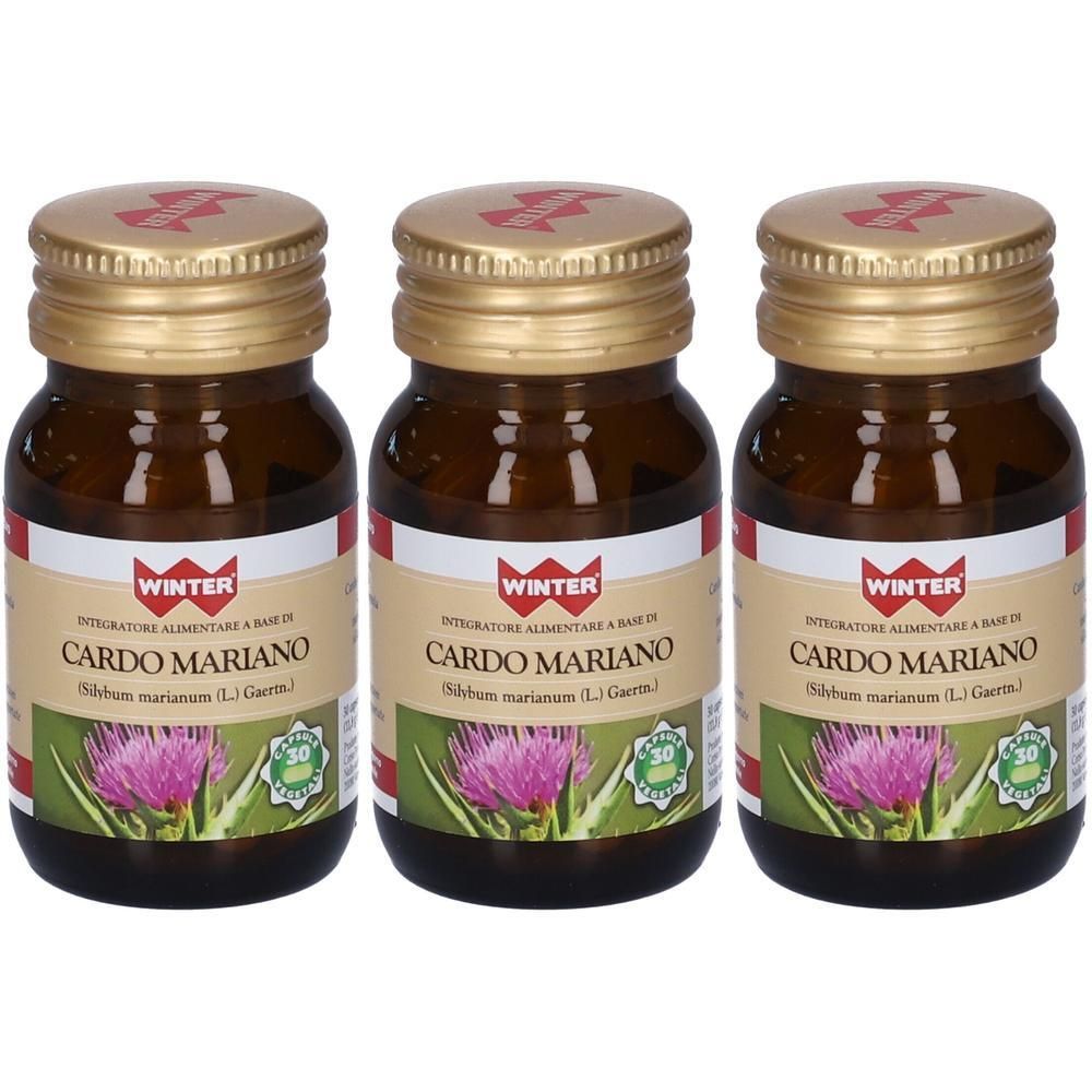 Winter Cardo Mariano Capsule