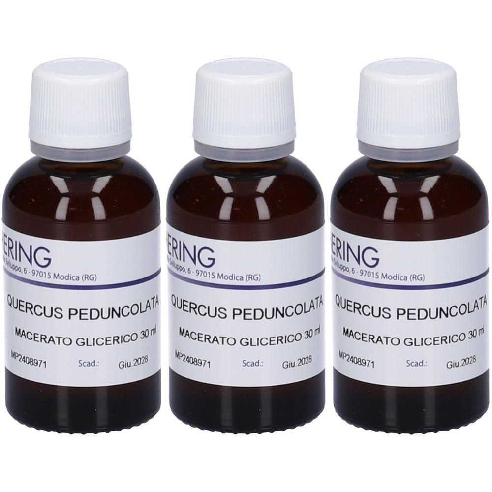 HERING Quercus Pedunc Gemmeme Macerato Glicerico