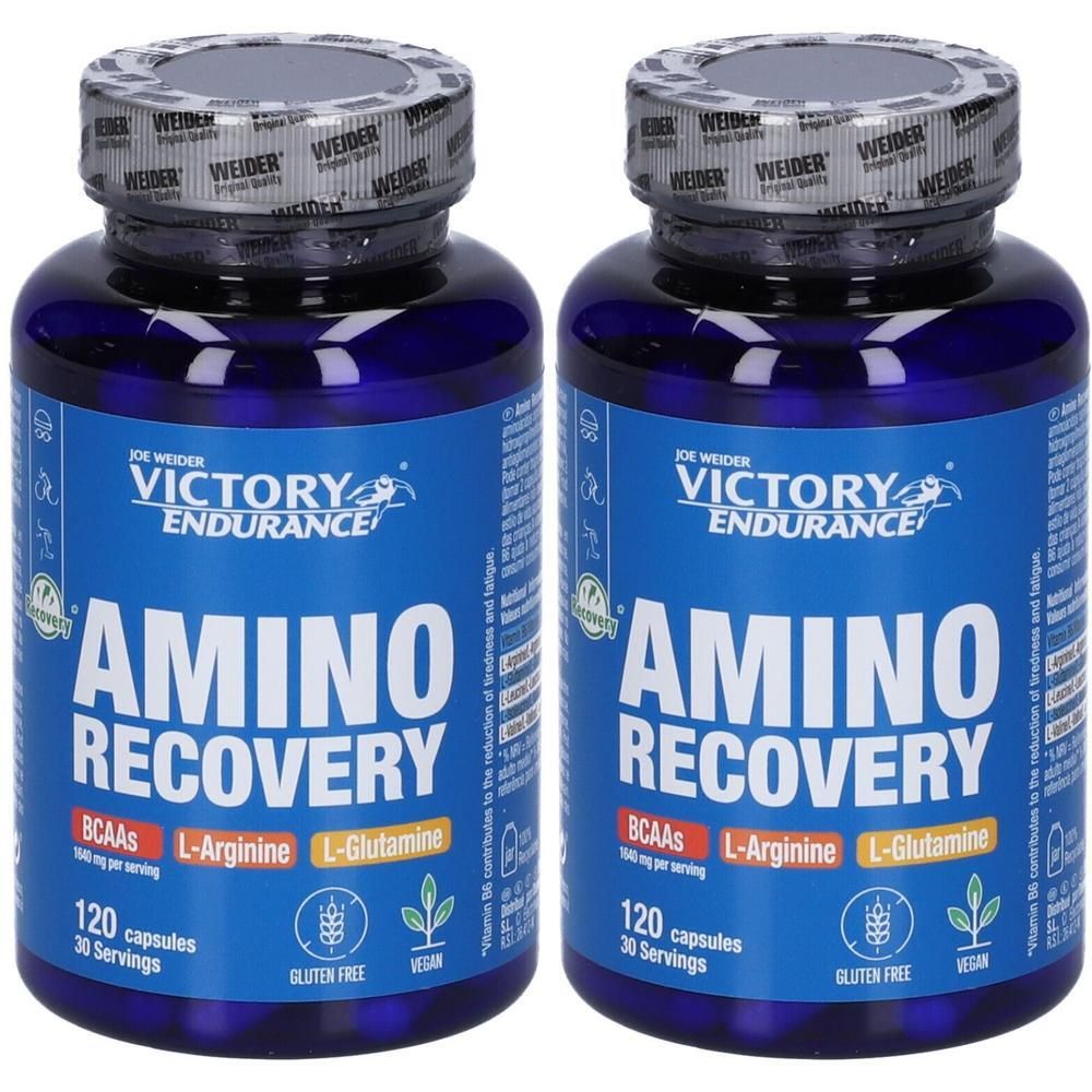 Victory Endurance Amino Recovery