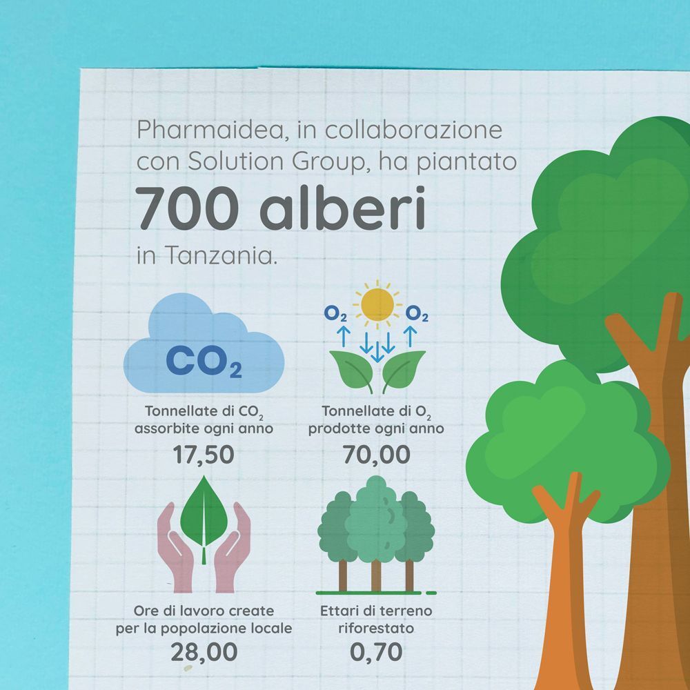 Infografica sulla piantumazione di 700 alberi in Tanzania.