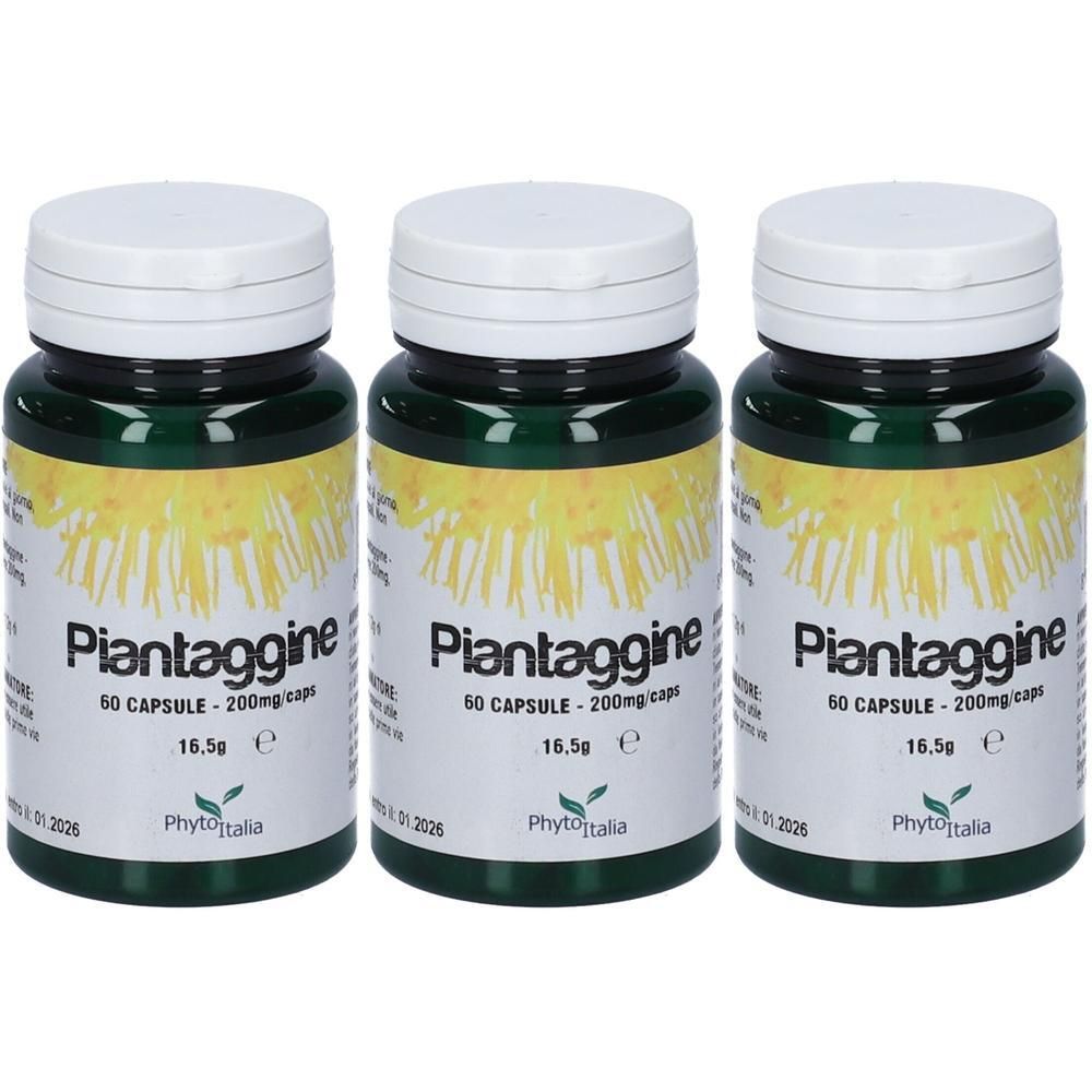 Piantaggine 60 Capsule
