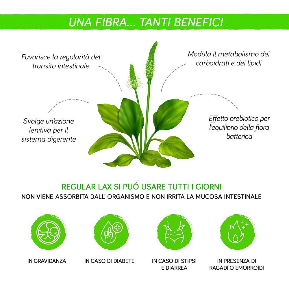 Pianta di psillio e i suoi benefici digestivi, con icone per i casi d'uso.