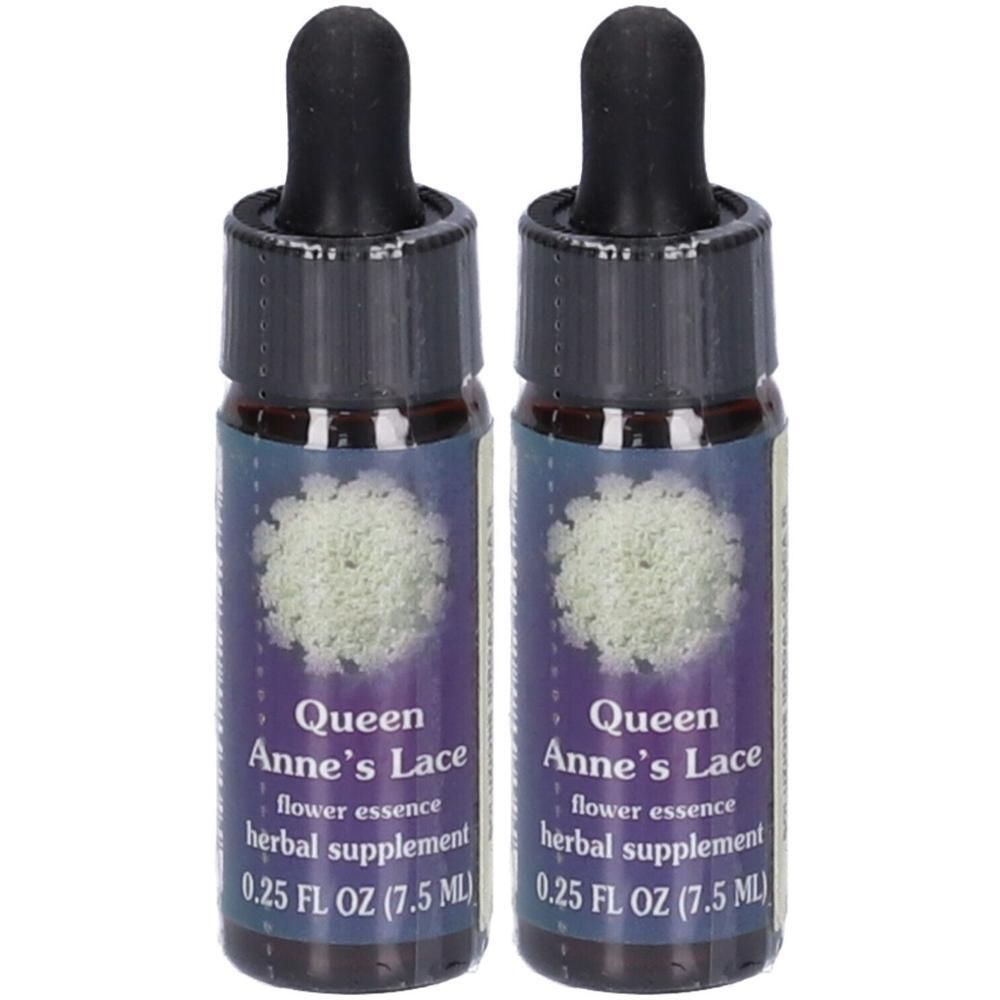 Queen Annes Lace 7,4Ml Calf