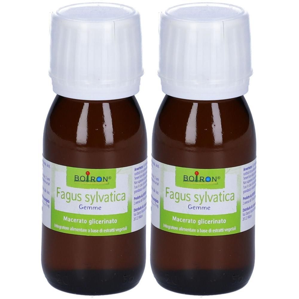 BOIRON® Fagus sylvatica Gemme