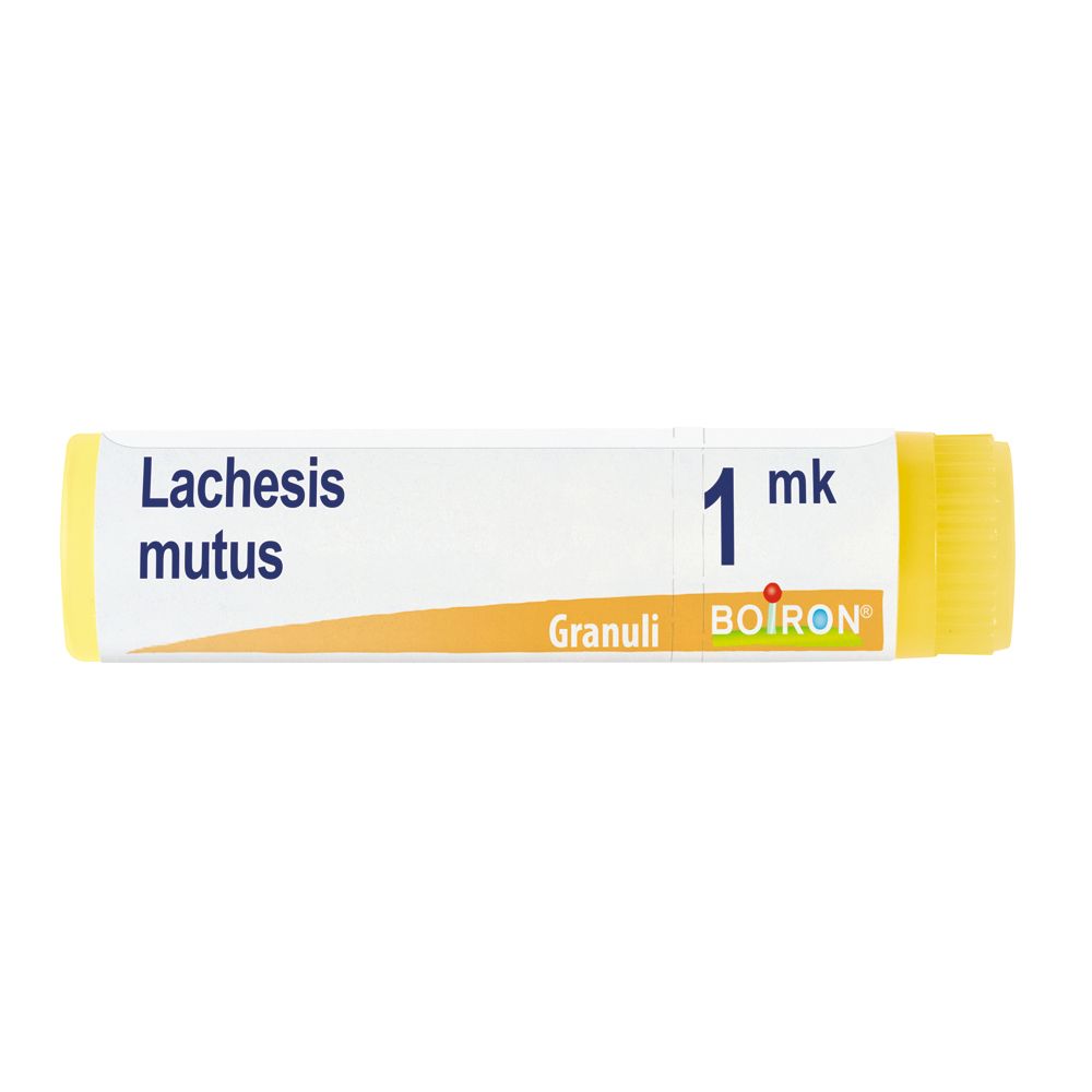 Lachesis Mutus Mk Gl