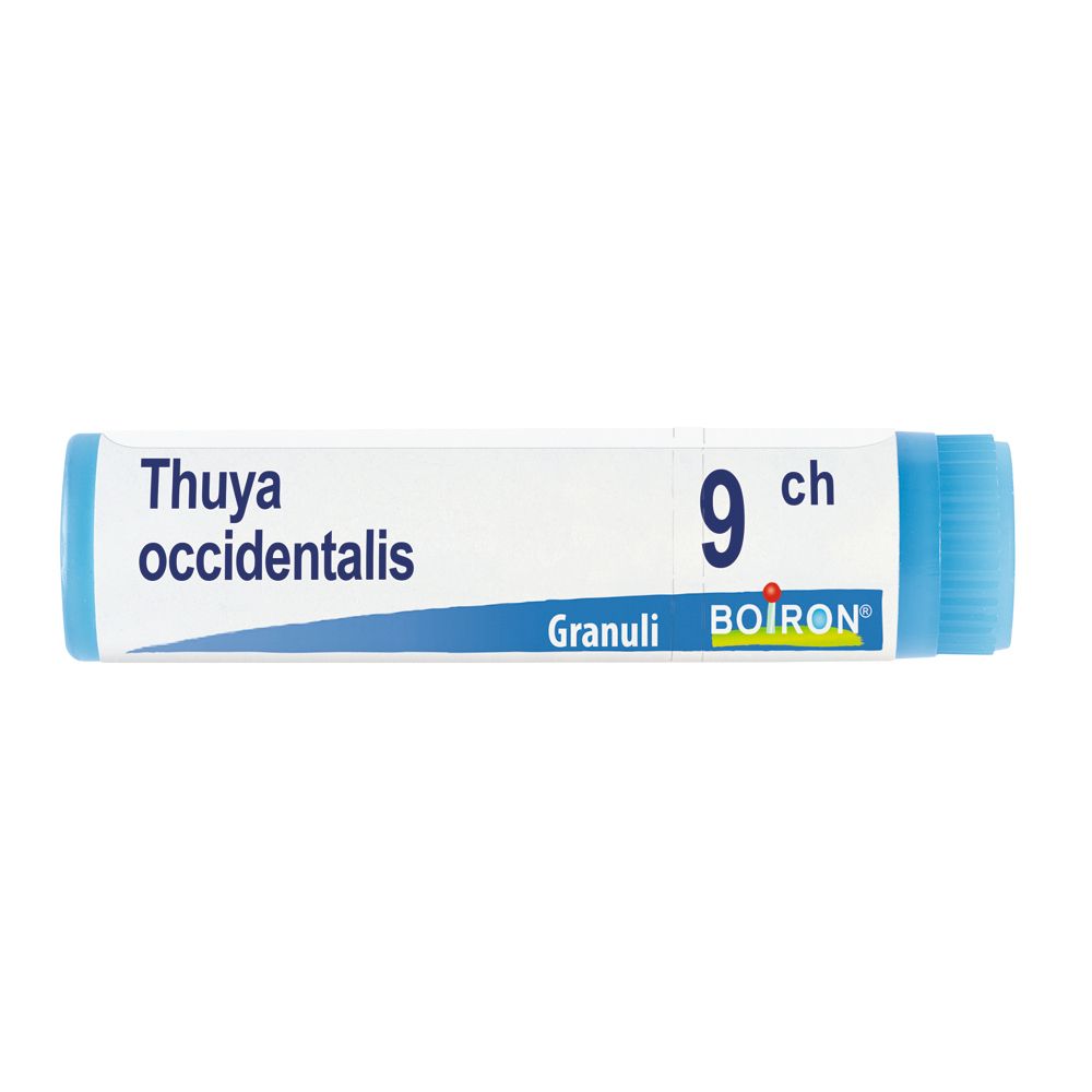 Tubo cilindrico blu. Scritta: Thuya occidentalis, 9 ch, Granuli, BOIRON.
