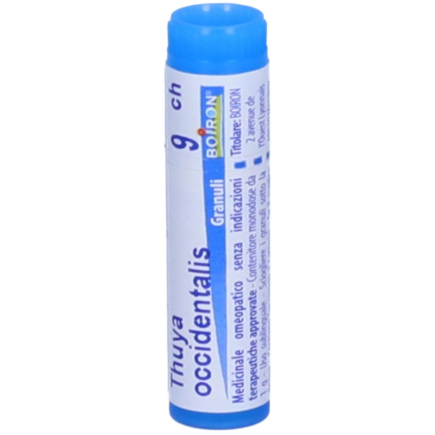 Tubo blu con etichetta bianca. Scritta: Thuya occidentalis, 9 ch, Granuli, BOIRON. Tappo blu.