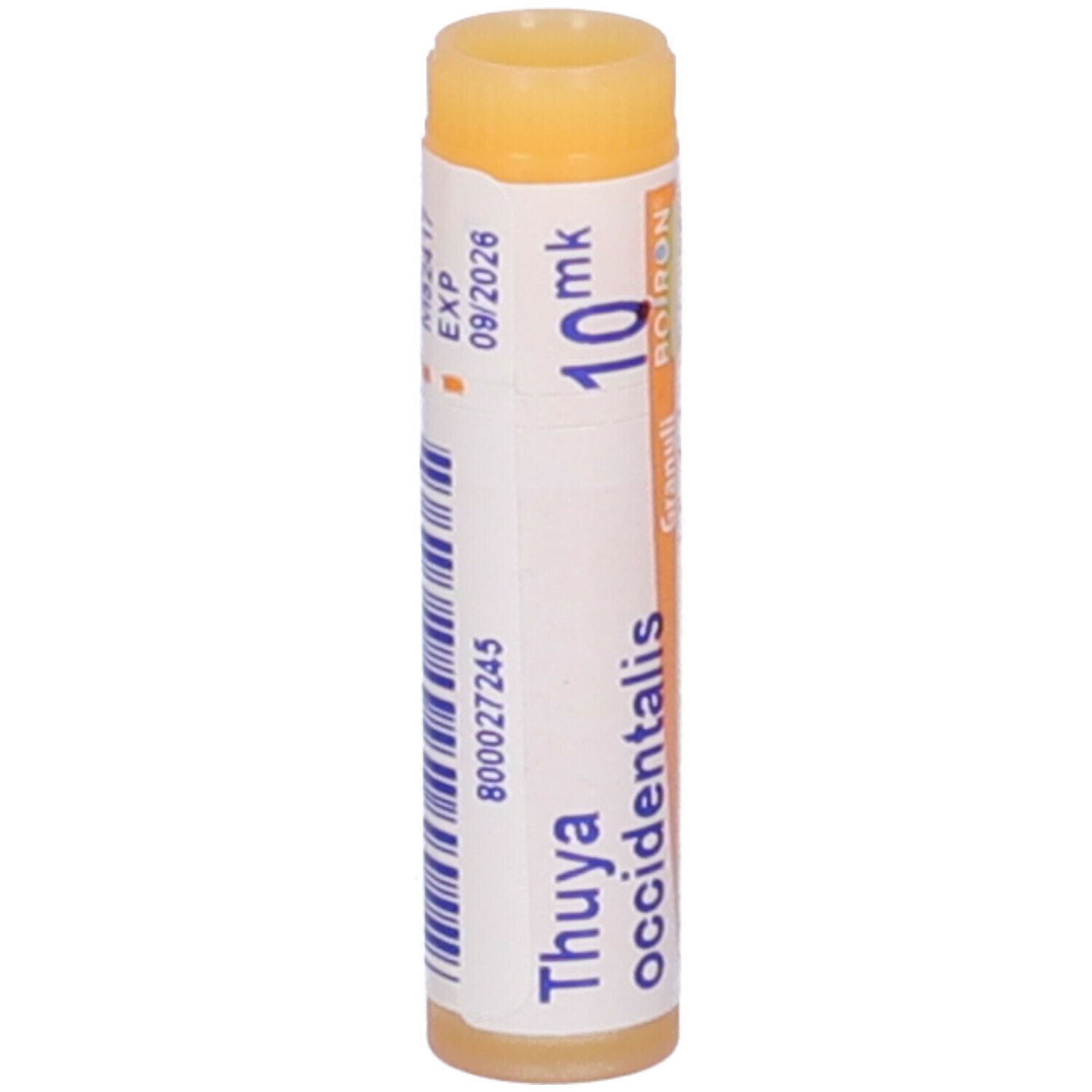 Confezione cilindrica con "Thuya occidentalis", "10 mk" e data di scadenza. Marchio BOIRON® visibile.