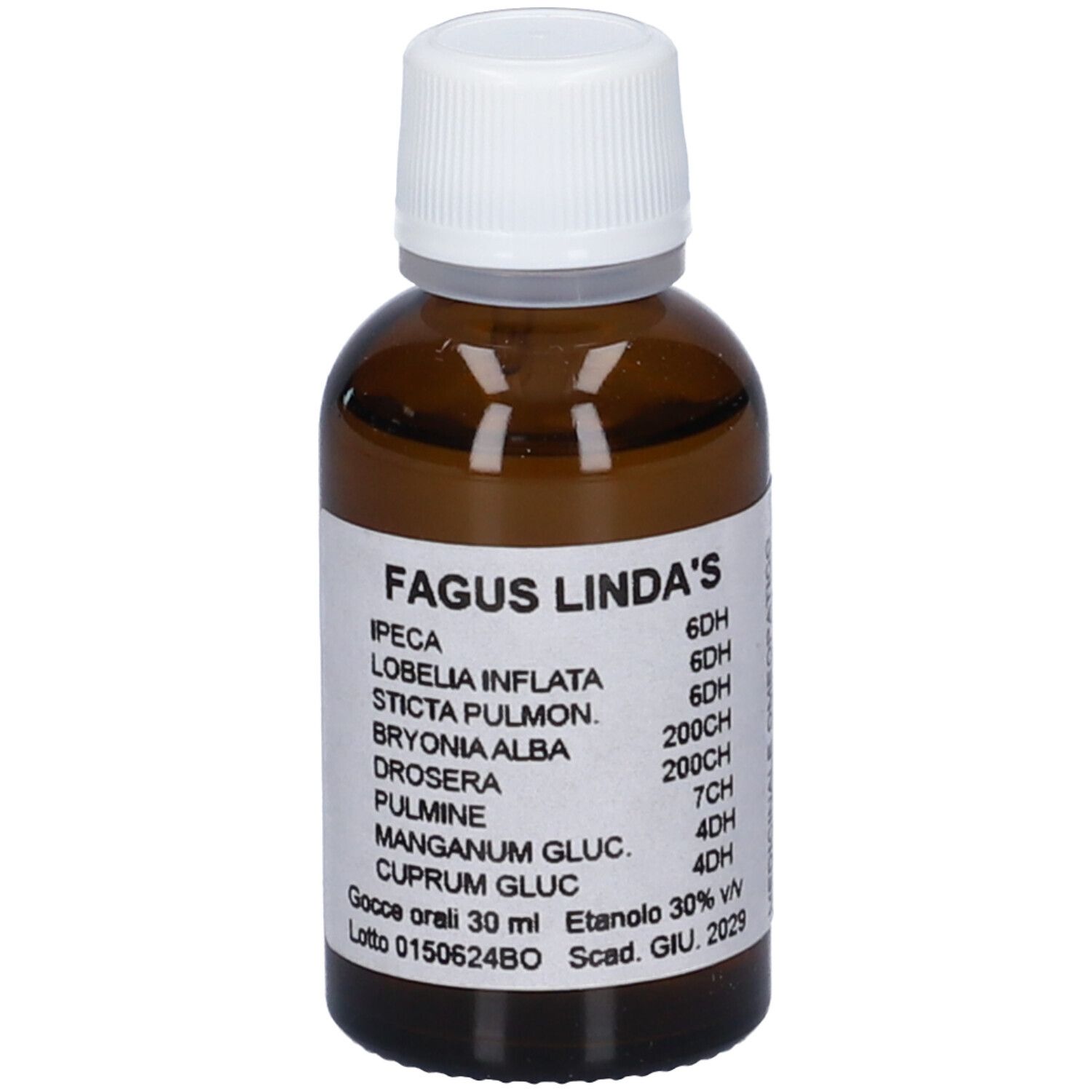 Fagus Lindas Gocce