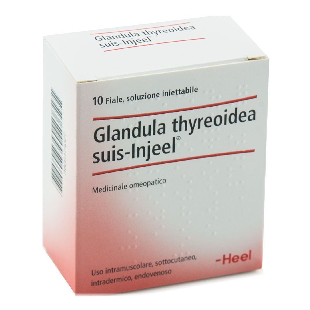 Scatola bianca con sfumatura rossa. Scritta: Glandula thyreoidea suis-Injeel. 10 fiale, soluzione iniettabile. Logo Heel.
