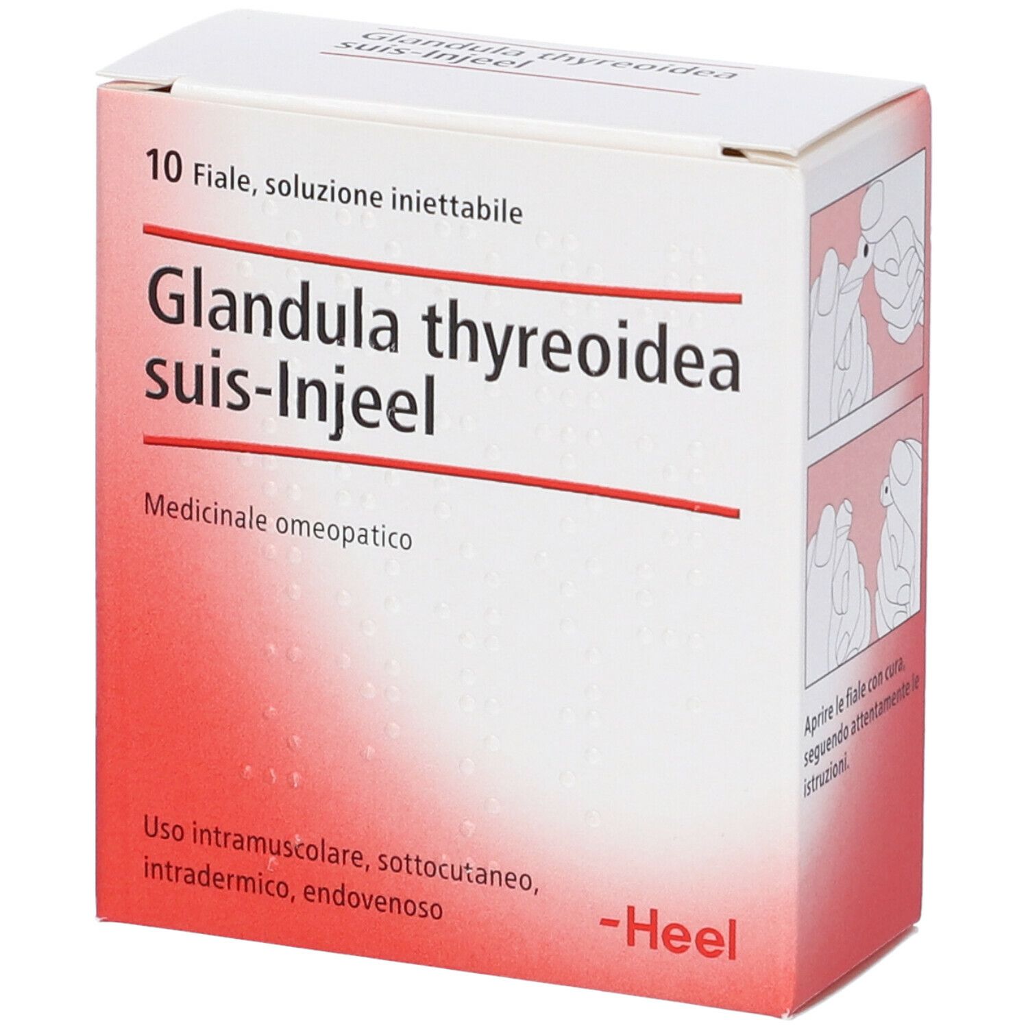 Scatola bianca con sfumatura rossa. Scritta: Glandula thyreoidea suis-Injeel. 10 fiale, soluzione iniettabile. Logo Heel. Esempio di utilizzo.