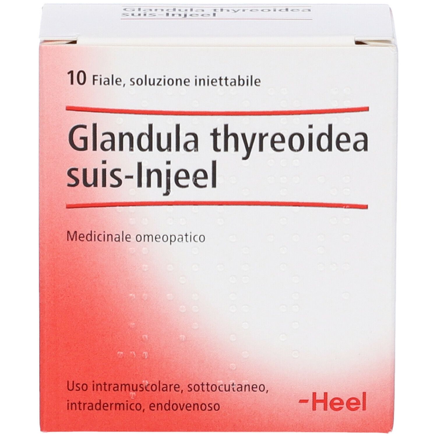 Scatola bianca con sfumatura rossa. Scritta: Glandula thyreoidea suis-Injeel. 10 fiale, soluzione iniettabile. Logo Heel.