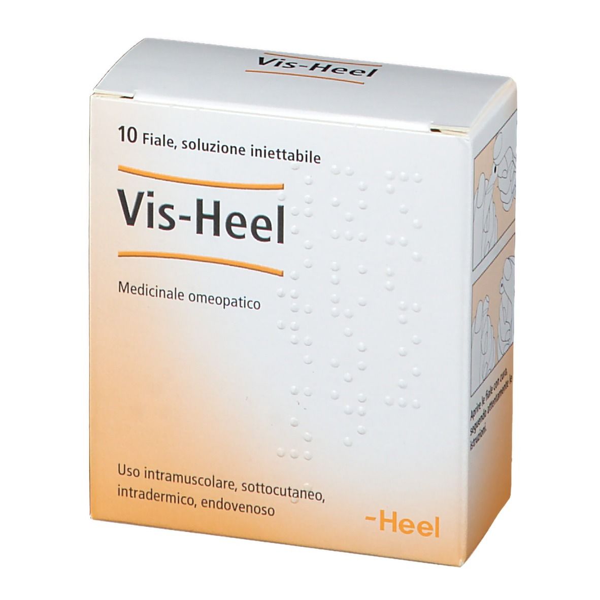 Scatola bianca con Vis-Heel. Contiene 10 soluzioni iniettabili. Medicinale omeopatico. Marchio Heel. Illustrazione d'uso.