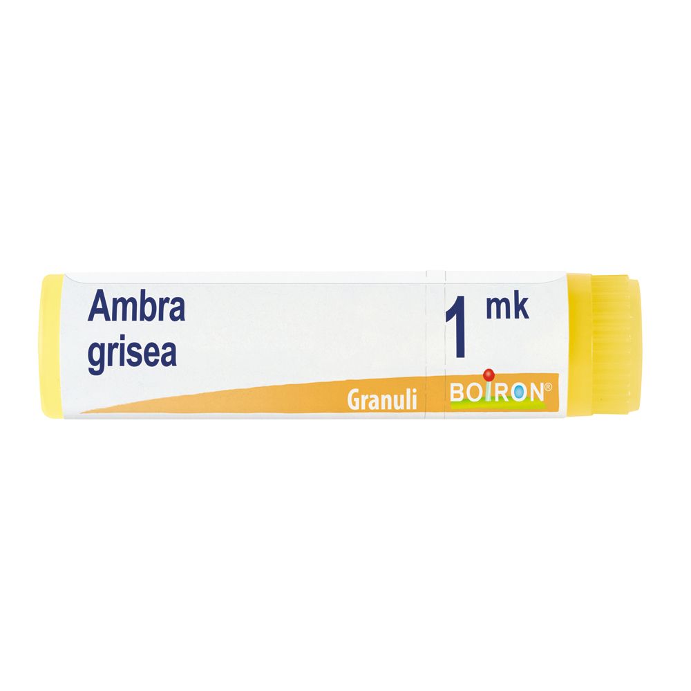 Ambra Grisea Mk Gl