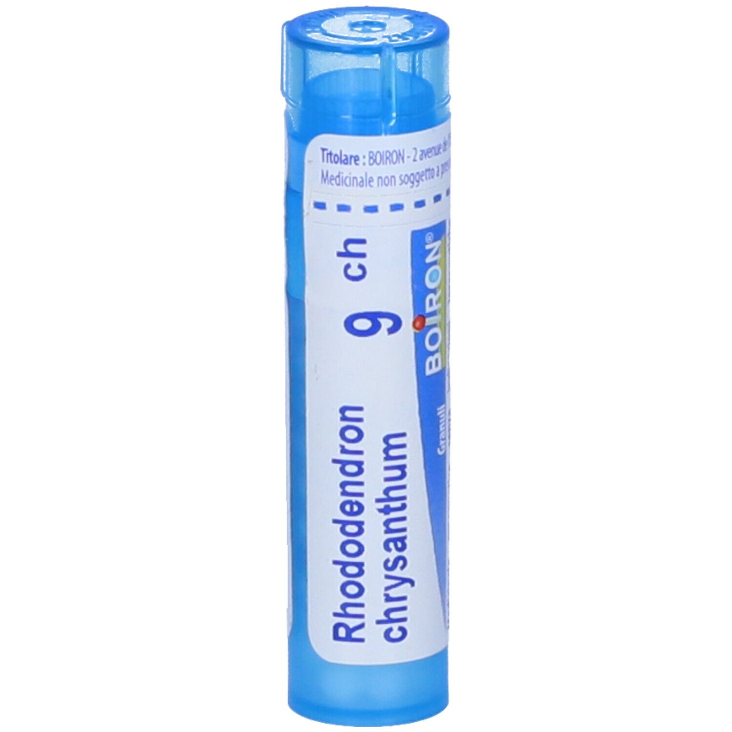 Confezione cilindrica blu con testo bianco. Contiene granuli. Scritta: Rhododendron chrysan 9 ch, BOIRON.
