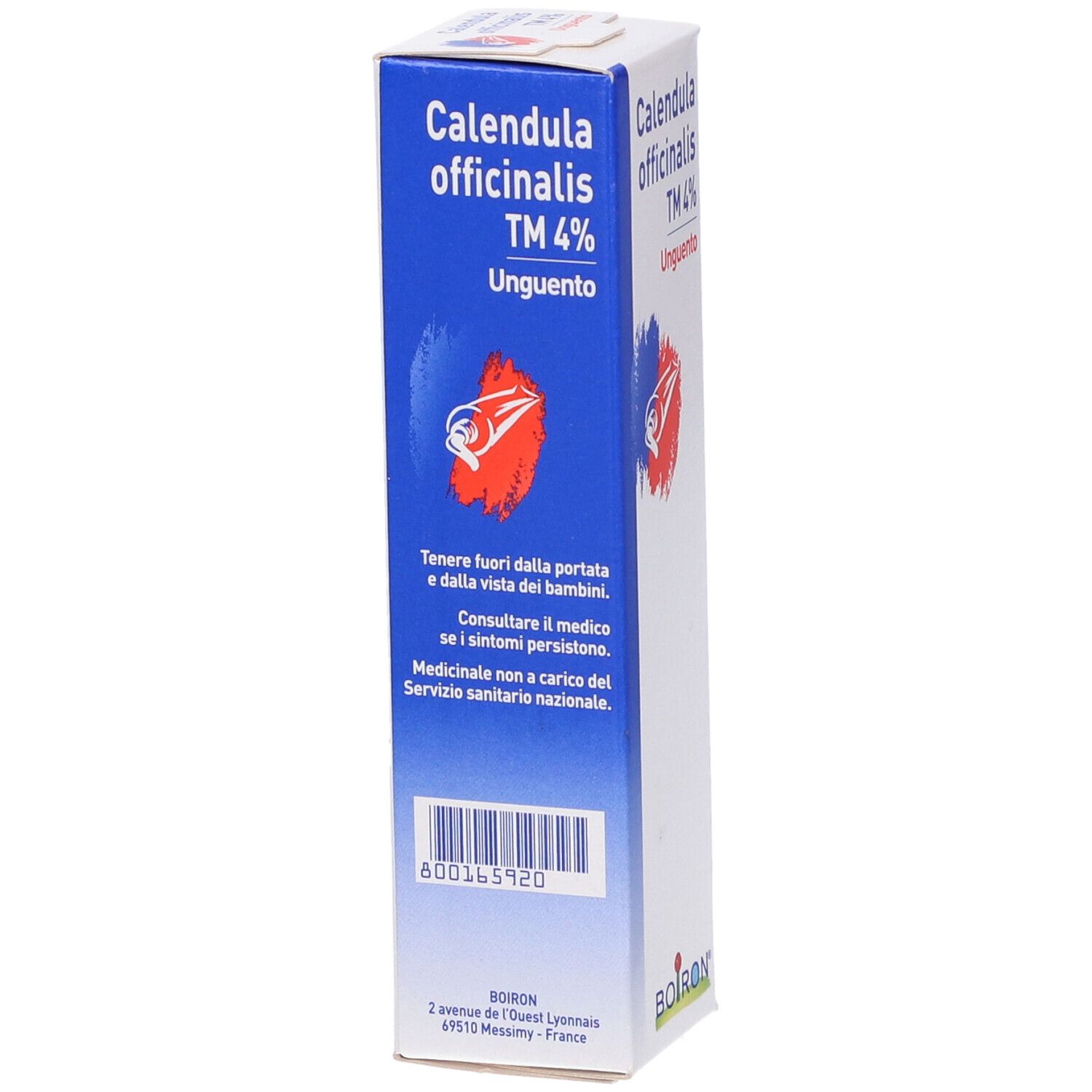 Scatola con nome del prodotto e logo. Grafica blu e rossa. Testo: Calendula officinalis TM 4% Unguento. Marchio BOIRON. Codice a barre.