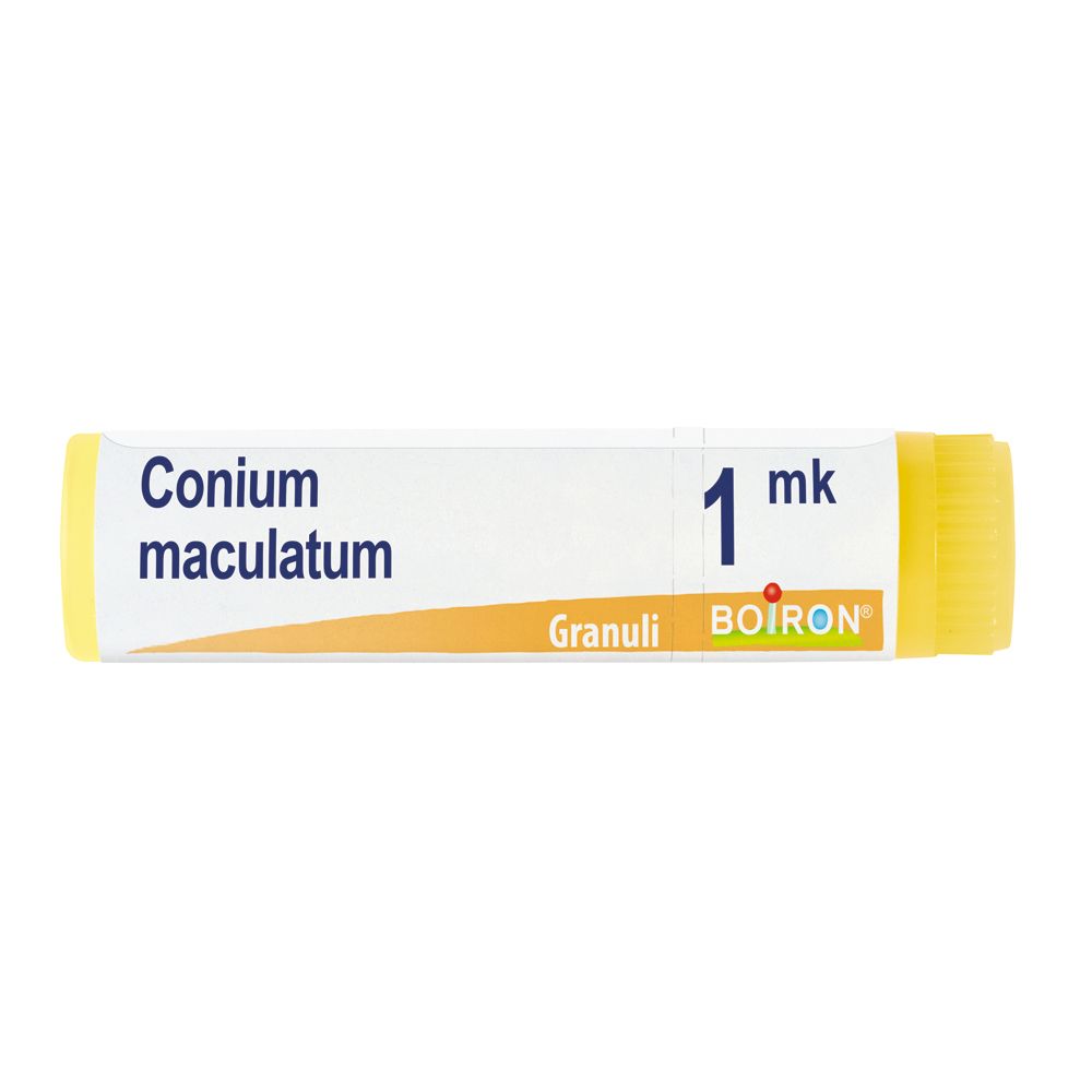 Conium Maculatum Mk Gl