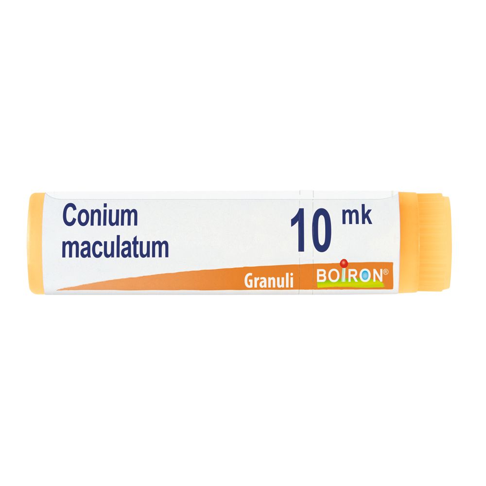 Conium Maculatum Xmk Gl