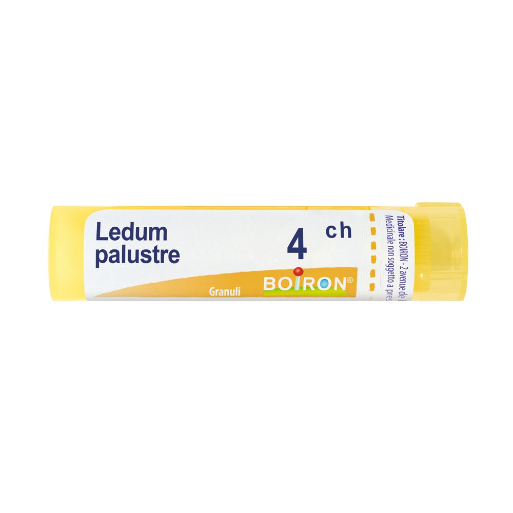 Tubo giallo con "Ledum palustre 4 ch Granuli" e logo "BOIRON". Scritte bianche.