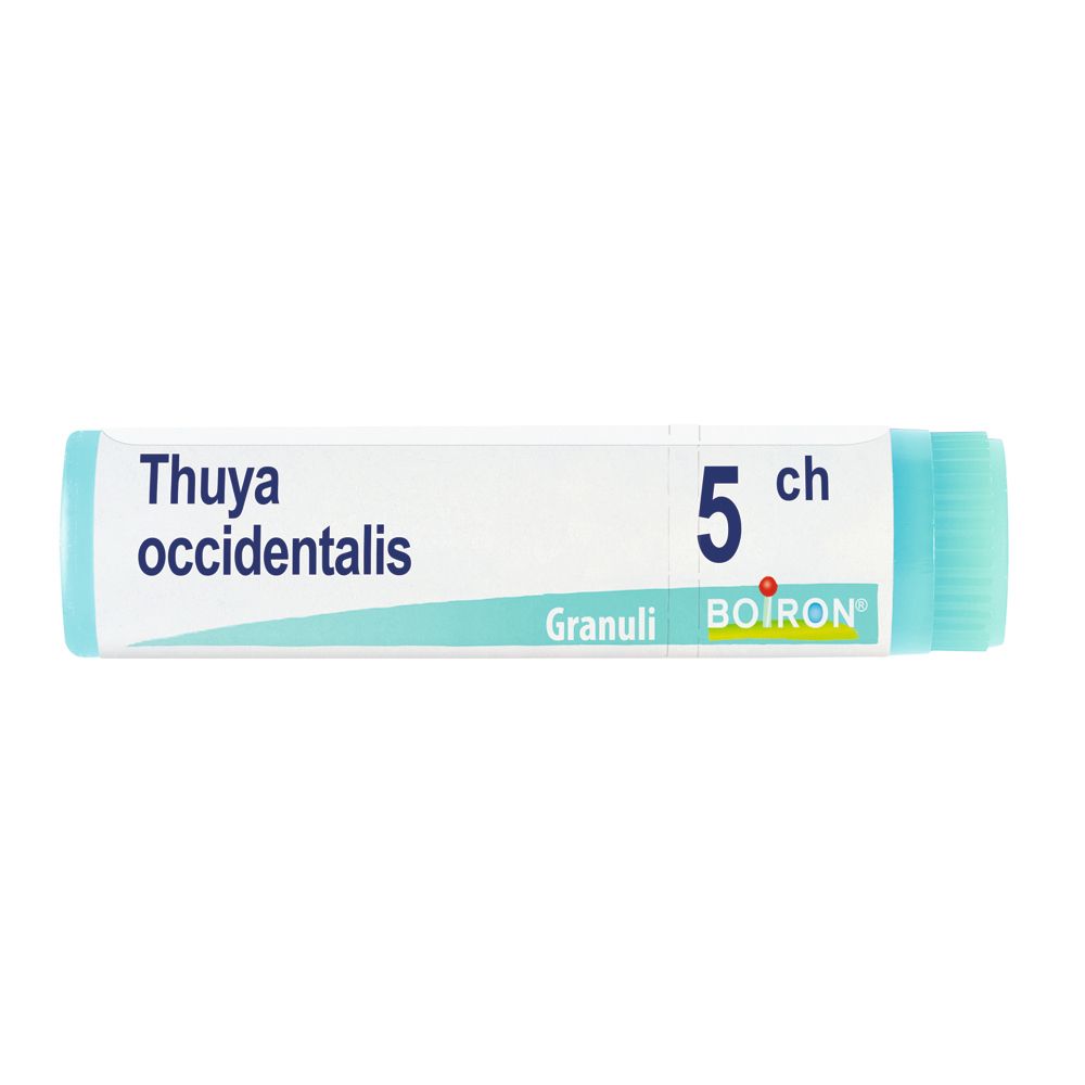 Tubo cilindrico con tappo blu. Scritta: Thuya occidentalis, 5 ch, Granuli, BOIRON.